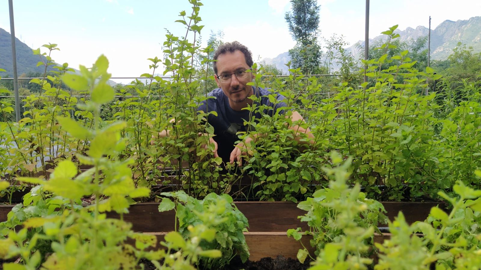 Un volontario tra le piante officinali dell'orto botanico