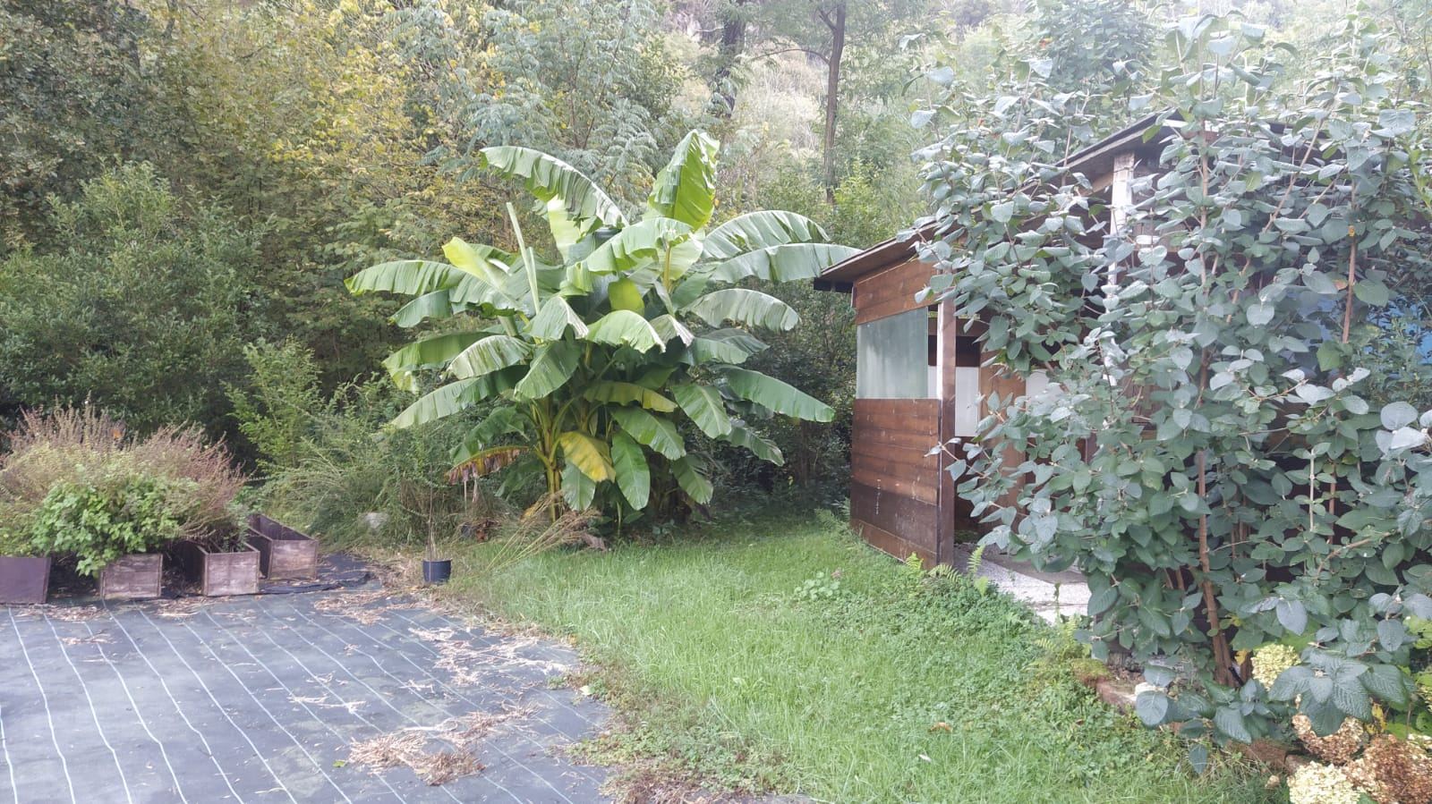 Il giardino dell'orto botanico Pervinca