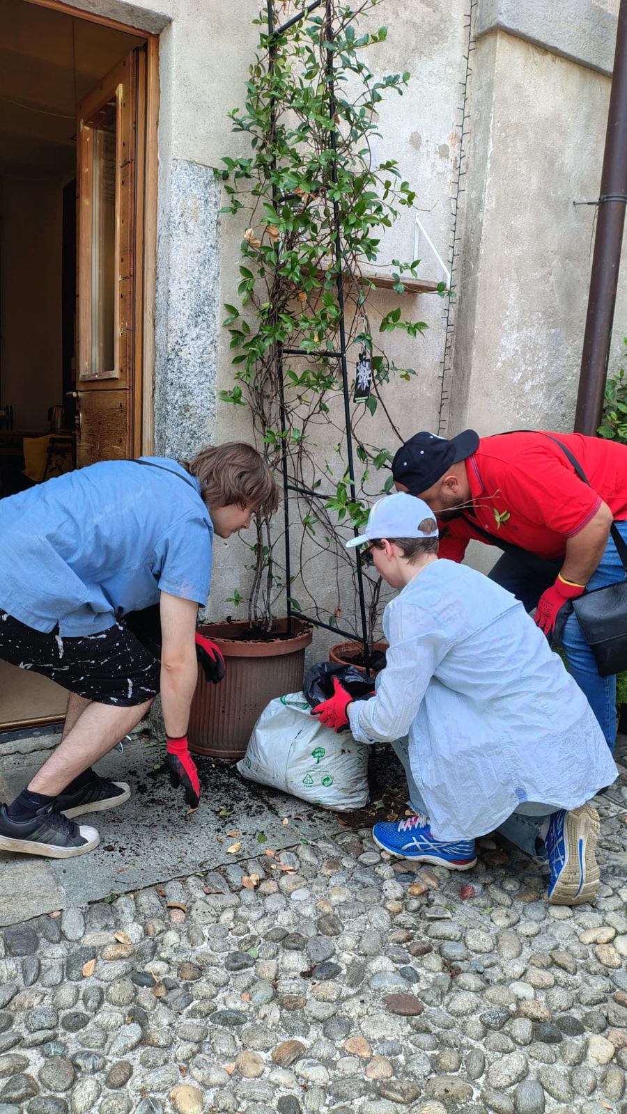 Tre persone rinvasano un rampicante davanti a un portone