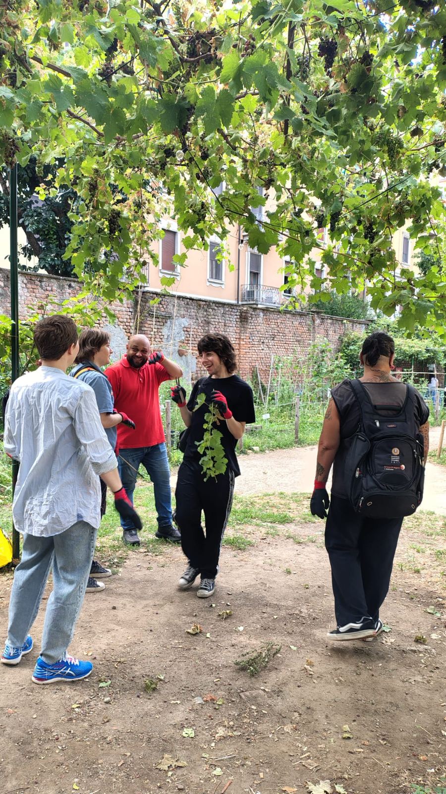 Il gruppo al lavoro sotto il pergolato di un orto urbano