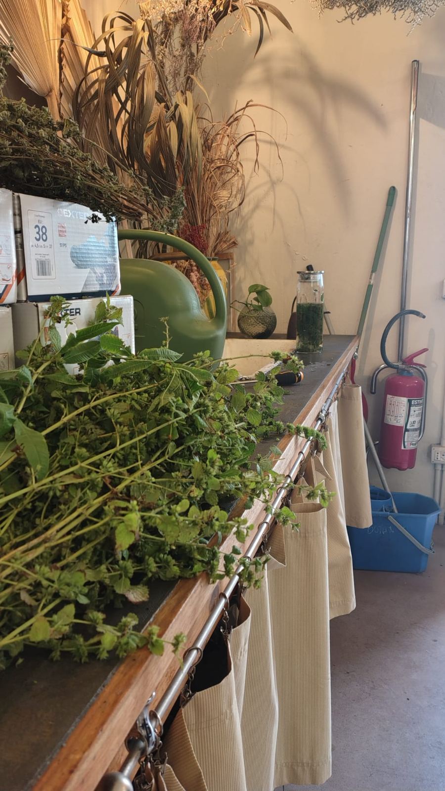 Piante officinali raccolte sul banco di lavoro